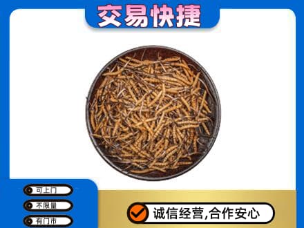 阜新高价回收散虫草